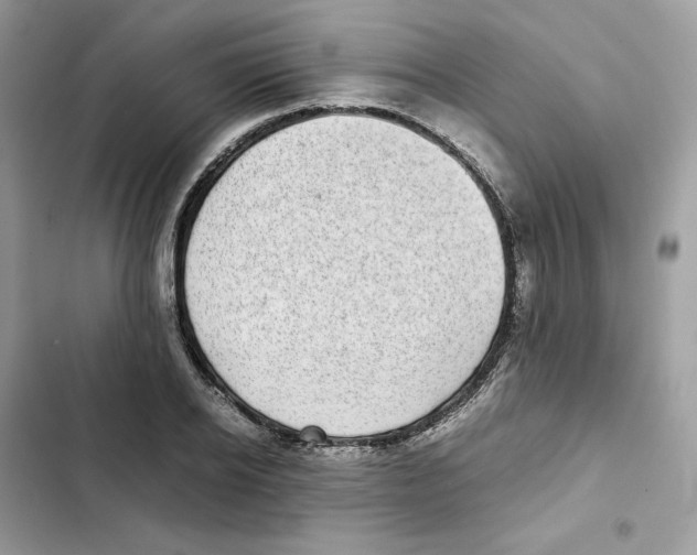X0000101990934200808151421