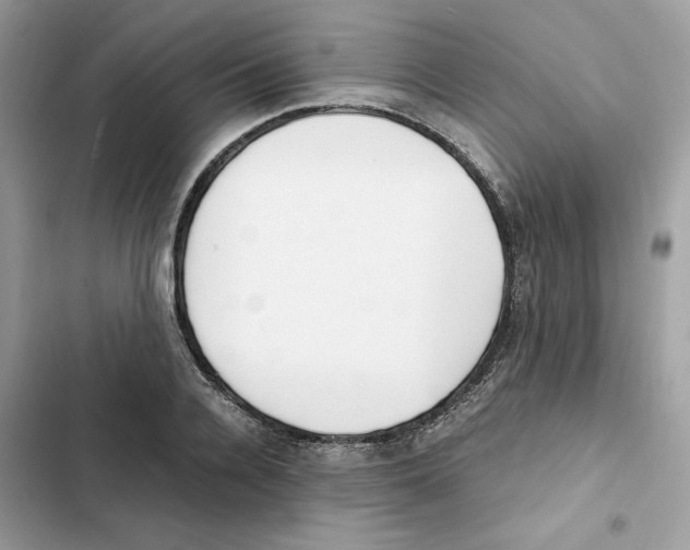 X0000101990936200808151421