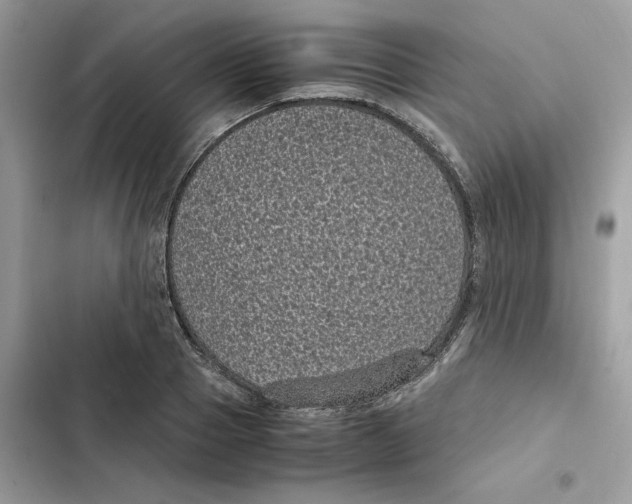 X0000101990937200808151421