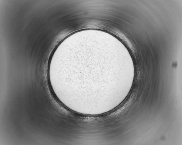 X0000101990938200808151421