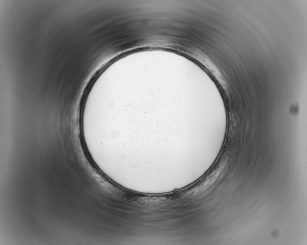 X0000101990939200808151421