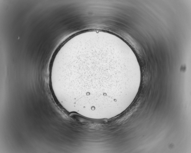 X0000101990940200808151421