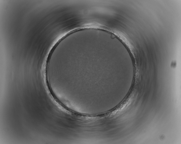 X0000101990941200808151421