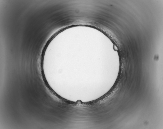 X0000101990942200808151421