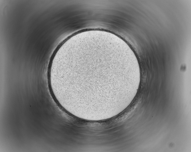 X0000101990943200808151421