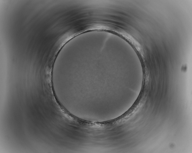 X0000101990945200808151421