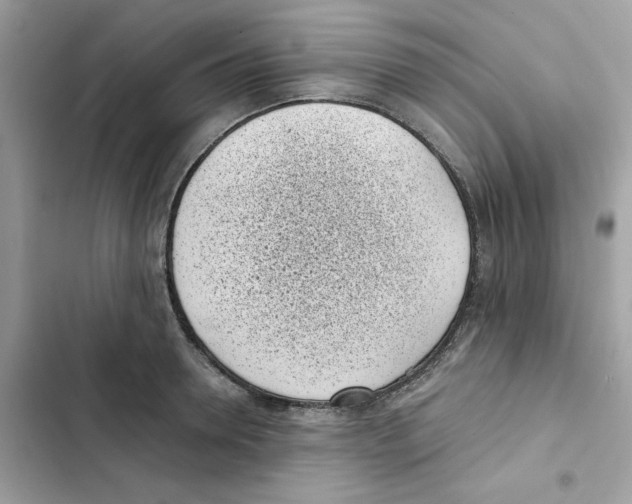 X0000101990946200808151421