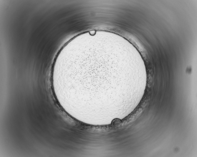 X0000101990948200808151421