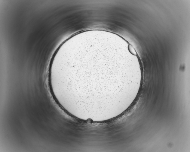 X0000101990949200808151421
