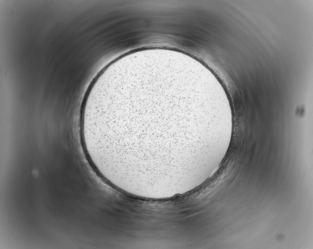 X0000101990951200808151421