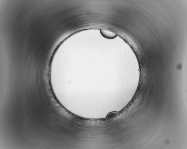 X0000101990952200808151421