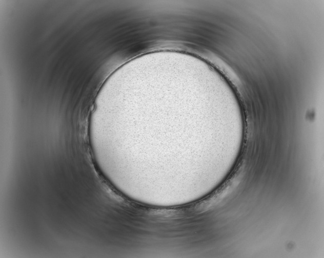 X0000101990953200808151421