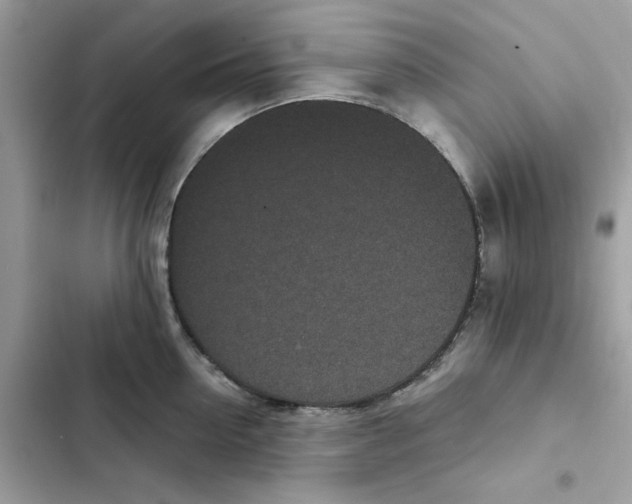 X0000101990954200808151421