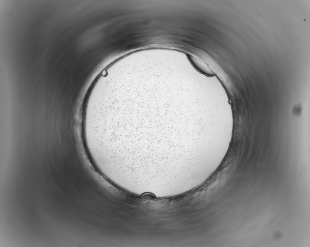 X0000101990955200808151421