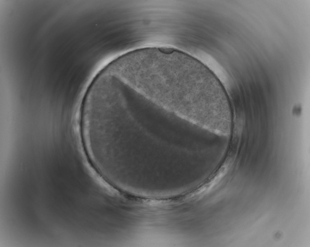X0000101990958200808151421