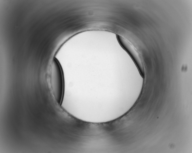 X0000101990960200808151421