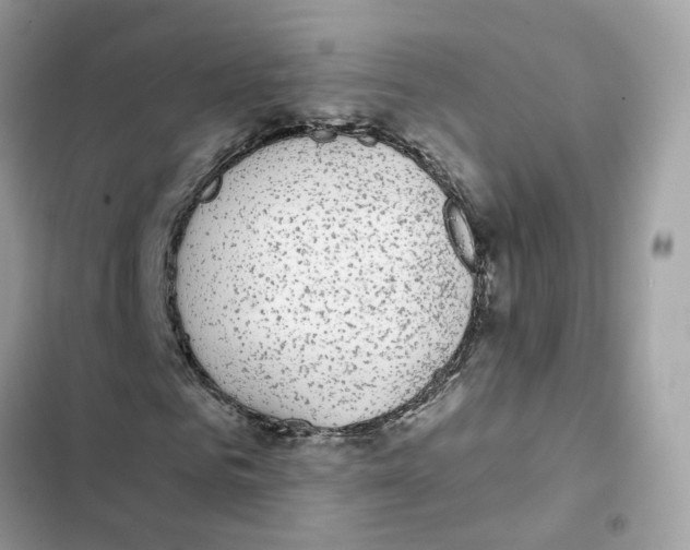 X0000101990961200808151420