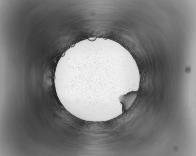 X0000101990962200808151420