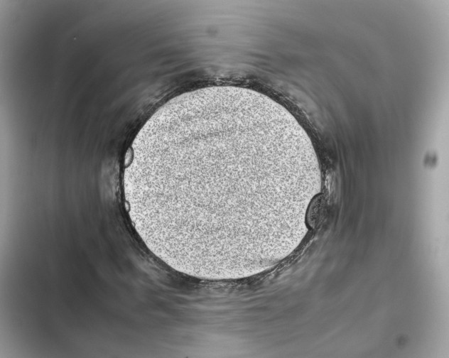 X0000101990963200808151420