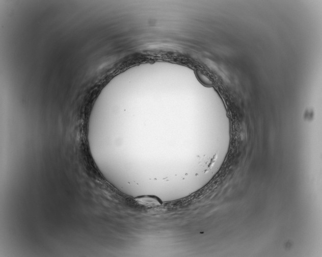 X0000101990965200808151420