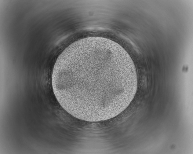 X0000101990966200808151420