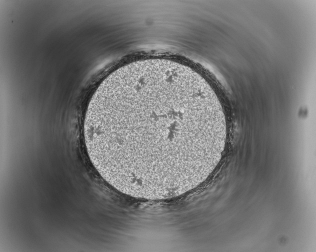 X0000101990967200808151420