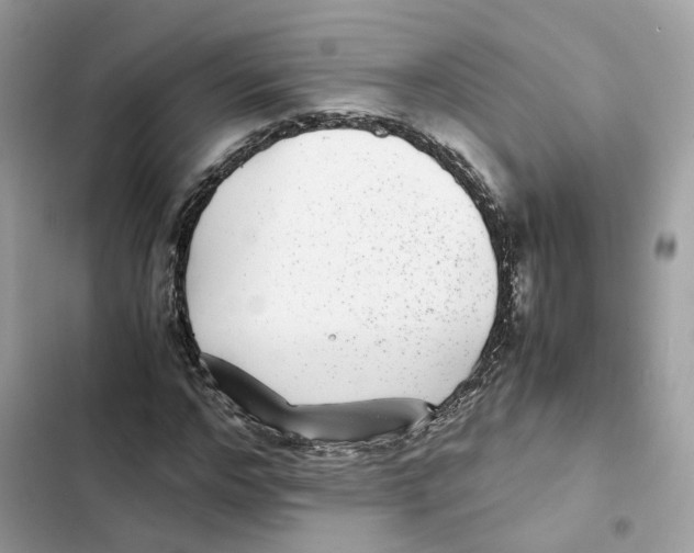 X0000101990968200808151420