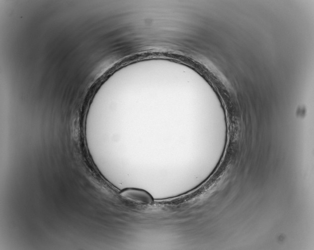 X0000101990969200808151420