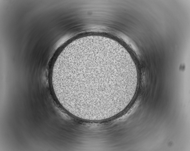 X0000101990970200808151420