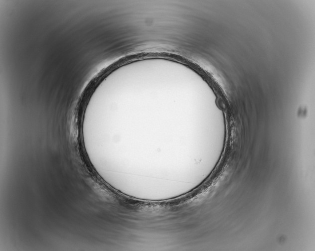 X0000101990973200808151420