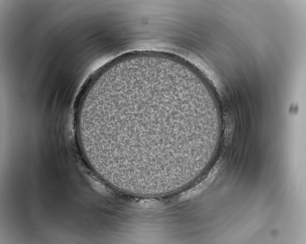 X0000101990974200808151420