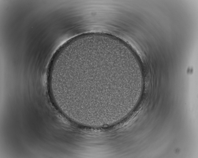 X0000101990975200808151420