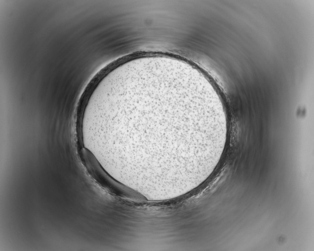 X0000101990976200808151420