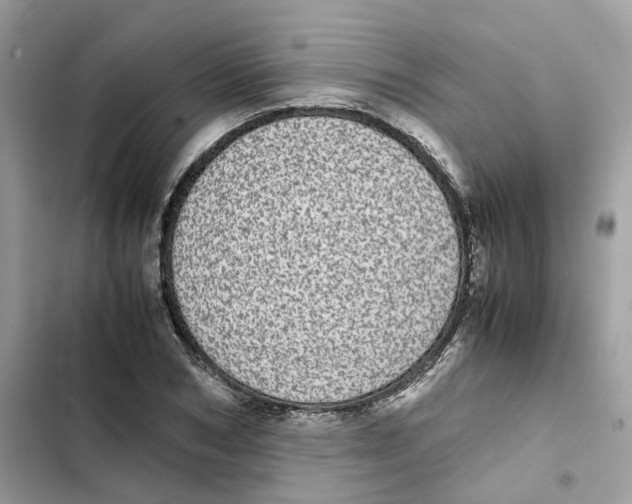 X0000101990978200808151420