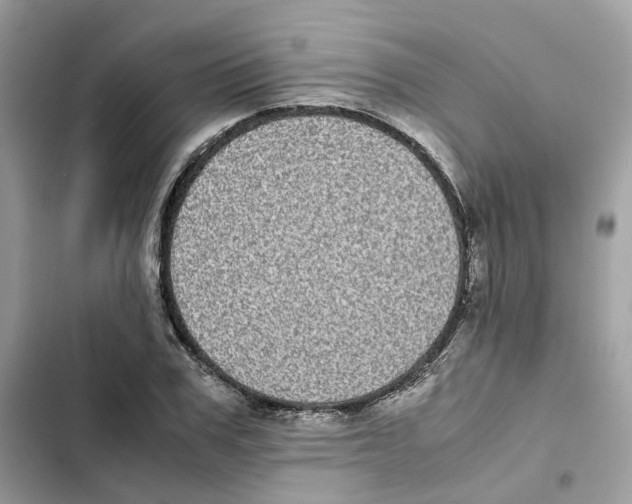 X0000101990979200808151420