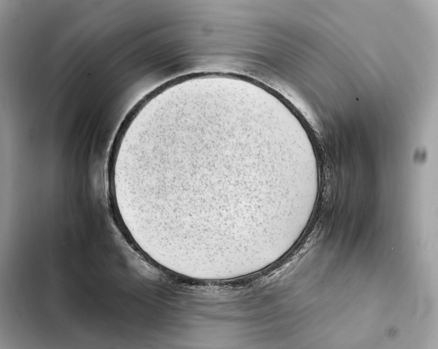 X0000101990980200808151420