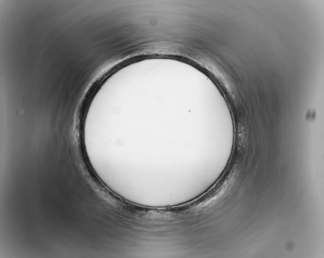 X0000101990981200808151420