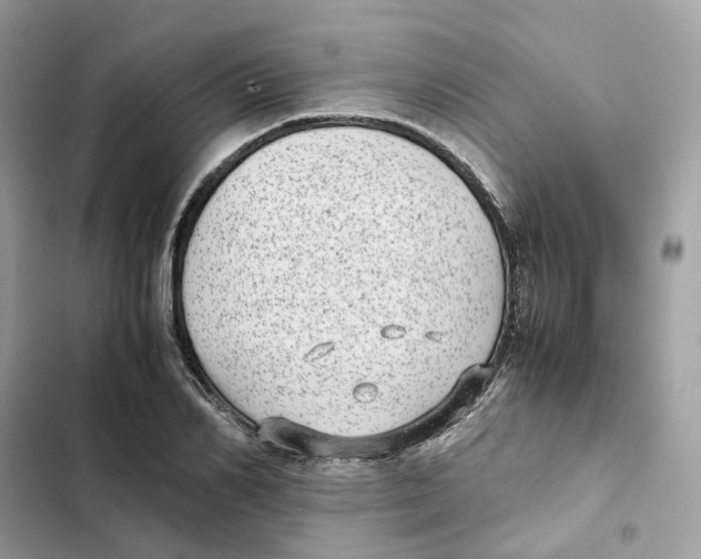 X0000101990982200808151420
