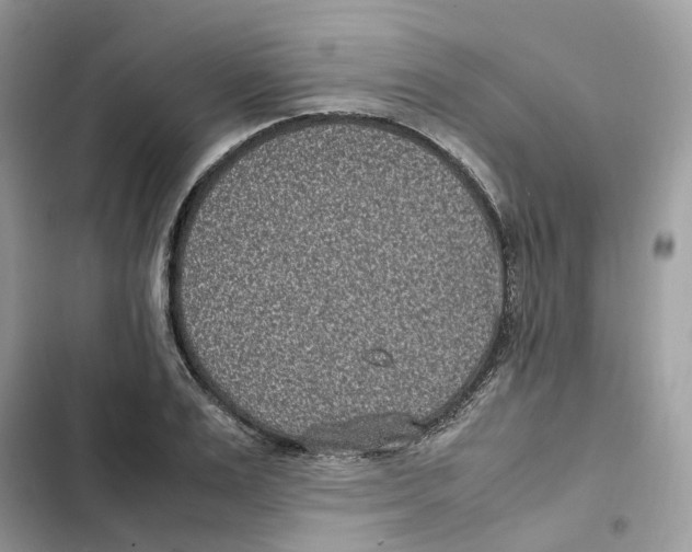 X0000101990983200808151420