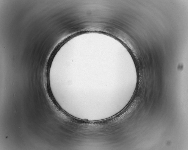 X0000101990984200808151420
