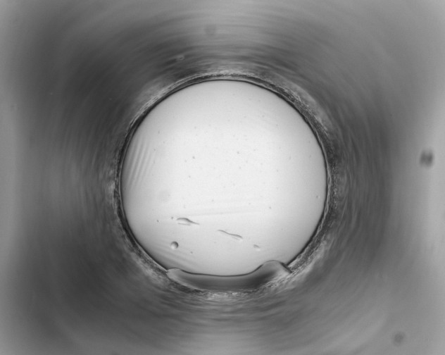 X0000101990985200808151420