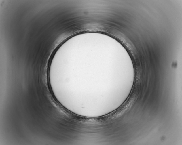 X0000101990986200808151420