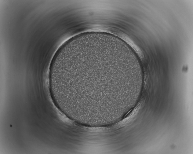 X0000101990988200808151420