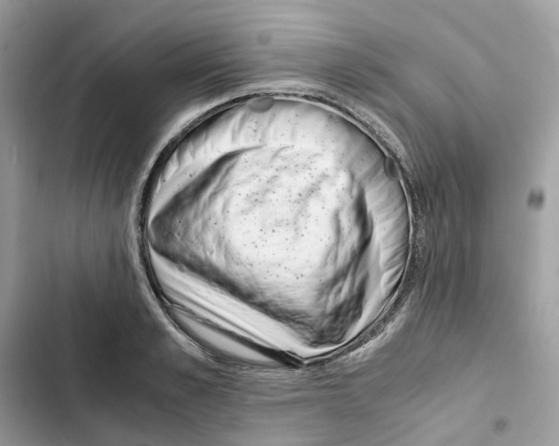 X0000101990989200808151420