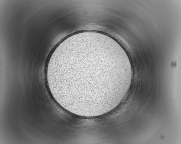 X0000101990990200808151420