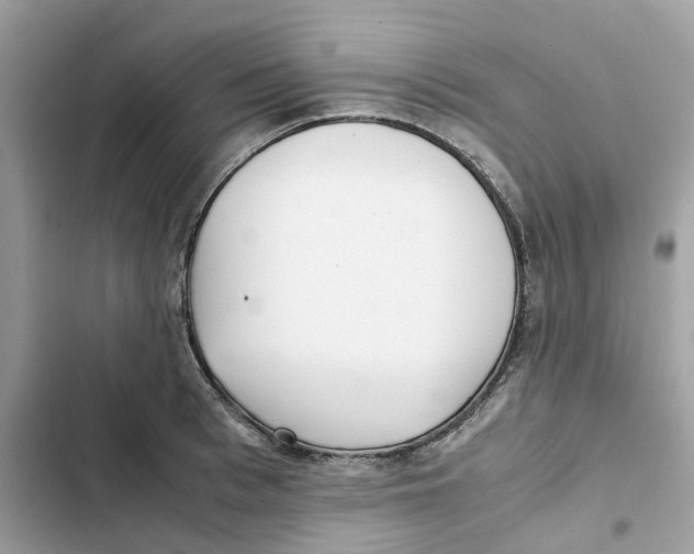 X0000101990993200808151420