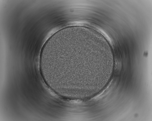 X0000101990994200808151420