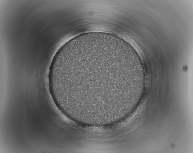 X0000101990995200808151420