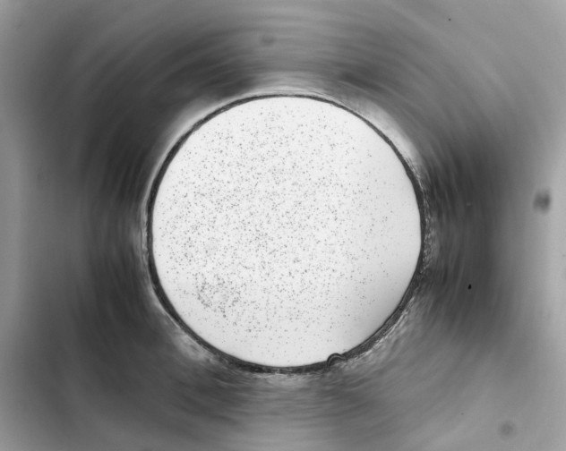 X0000101990996200808151420