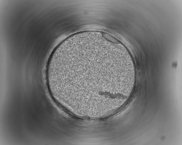 X0000101990997200808151420